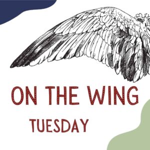 On The Wing (Tuesday)