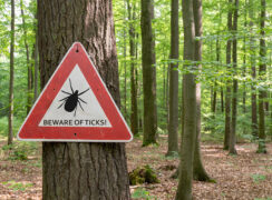 Healthy Options: Yearly Update on Ticks, Lyme, and Tick-borne Illnesses