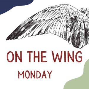 On The Wing (Monday)