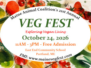 Veg Fest